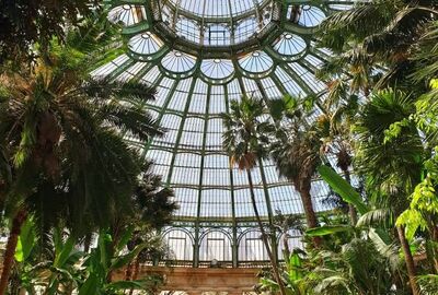 MEGA BENELUX & PARİS & KÖLN & ALSACE TURU Pegasus Havayolları ile 7 gece